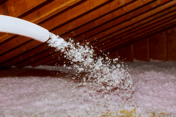 Best Insulation Replacement Services  in North Apollo, PA